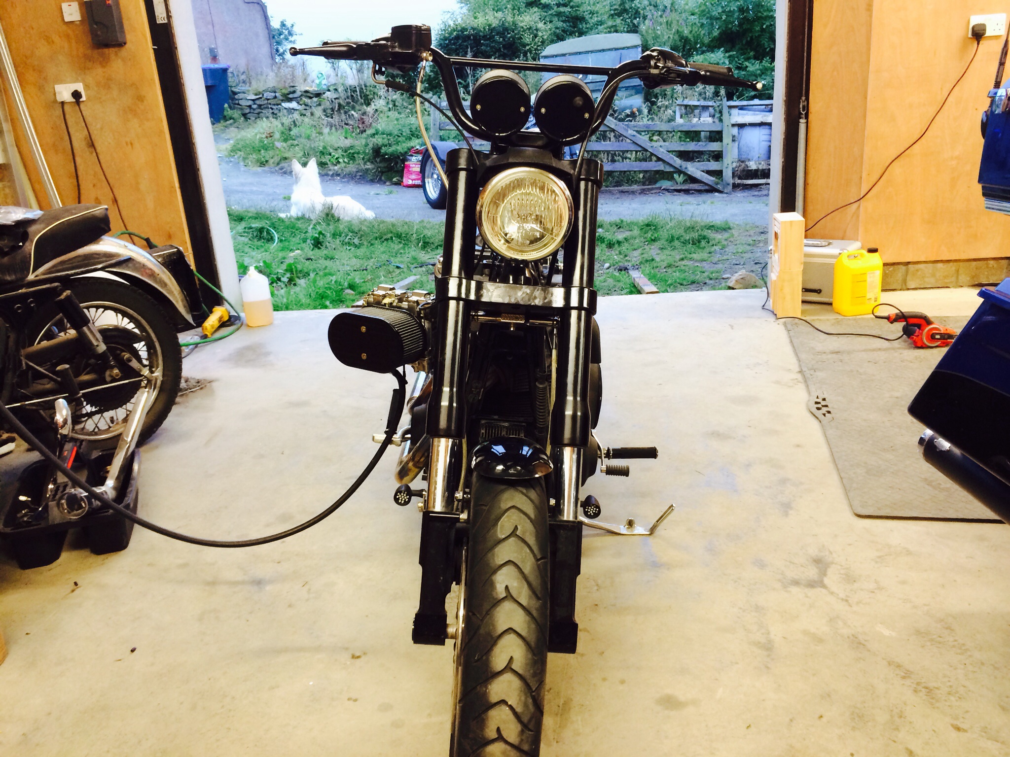 The Dyna lives, again